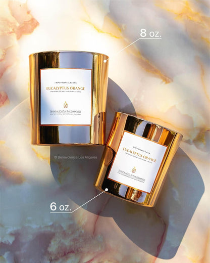 Eucalyptus Orange Wood Wick Candles | Soy Scented Candles for Home | Gifts for Women and Men | Home Fragrance | Aromatherapy | Shelf Decor, Bathroom Freshener | 8Oz, 45 Hour Burn